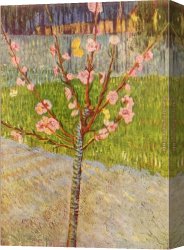 Peach Canvas Paintings - Peach Tree in Blossom by Vincent van Gogh