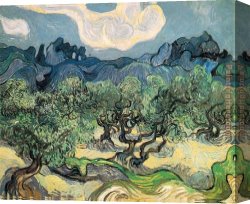 Trees in Park Canvas Paintings - The Olive Trees by Vincent van Gogh