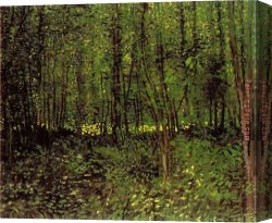 Poultry in The Undergrowth Canvas Paintings - Trees And Undergrowth by Vincent van Gogh