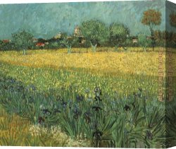 A View of The Forum Canvas Paintings - View of Arles with Irises by Vincent van Gogh
