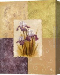 Les Iris Jaunes 1824 Canvas Paintings - Amethyst Iris by Vivian Flasch