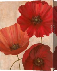 Jaune Poppy Canvas Paintings - Poppy Trio II by Vivian Flasch