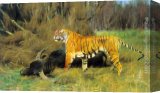 Buy Stretched Canvas Painting
