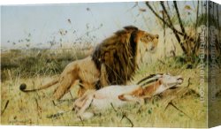 Wilhelm Canvas Paintings - Lion and his Prey by Wilhelm Kuhnert