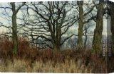 Stretched Canvas Painting