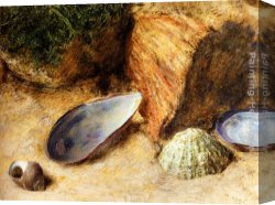 The Moose Hunt Canvas Paintings - Still Life With Sea Shells On A Mossy Bank by William Henry Hunt