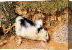 Dead Canvas Paintings - John Ruskin's dead chick by William Holman Hunt