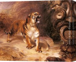 Huggins Canvas Paintings - A Tiger and a Serpent by William Huggins