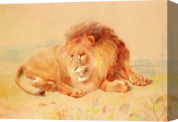 Huggins Canvas Paintings - Lion by William Huggins