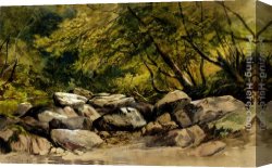 Rocky Canvas Paintings - A Rocky Stream, Lyndale, Devon by William James Muller