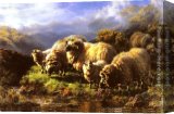 Stretched Canvas Painting