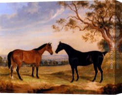 Mare Canvas Paintings - Two Mares In A Landscape by William Webb
