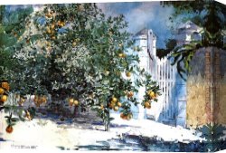 Orange Canvas Paintings - Orange Tree Nassau by Winslow Homer