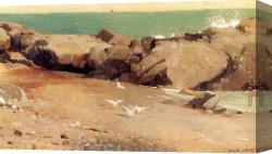 Rocky Coast Canvas Paintings - Rocky Coast and Gulls by Winslow Homer