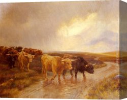 Highland Cattle Grazing by a Mountain Stream Canvas Paintings - Highland Cattle by Wright Barker
