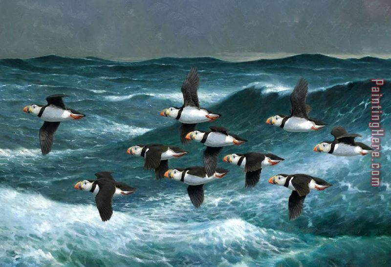 Puffins Over Sea painting - 2017 new Puffins Over Sea art painting