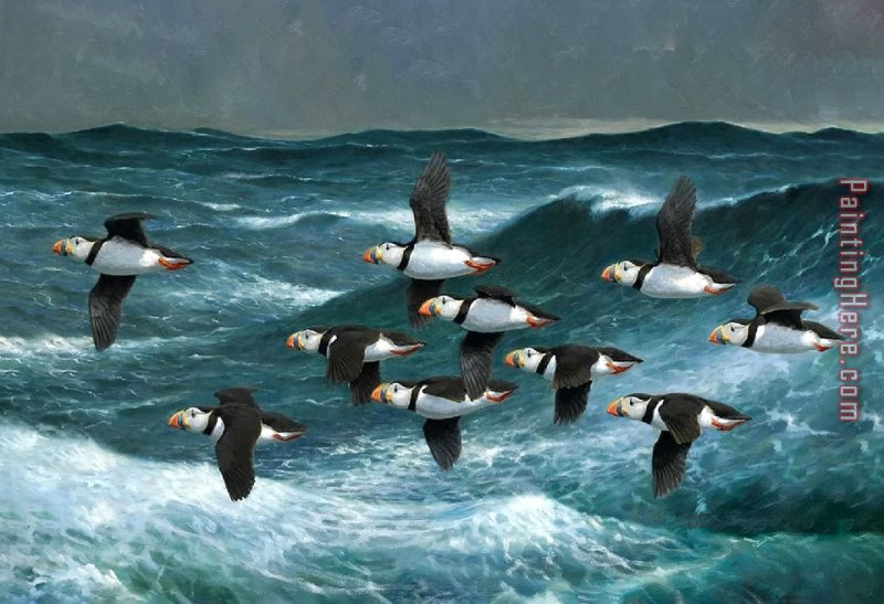 2017 new Puffins Over Sea