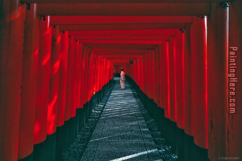 2017 new The Red Pathway Kyoto Japan