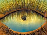 Contemplation Paintings - Contemplations of The Creatures by Vladimir Kush